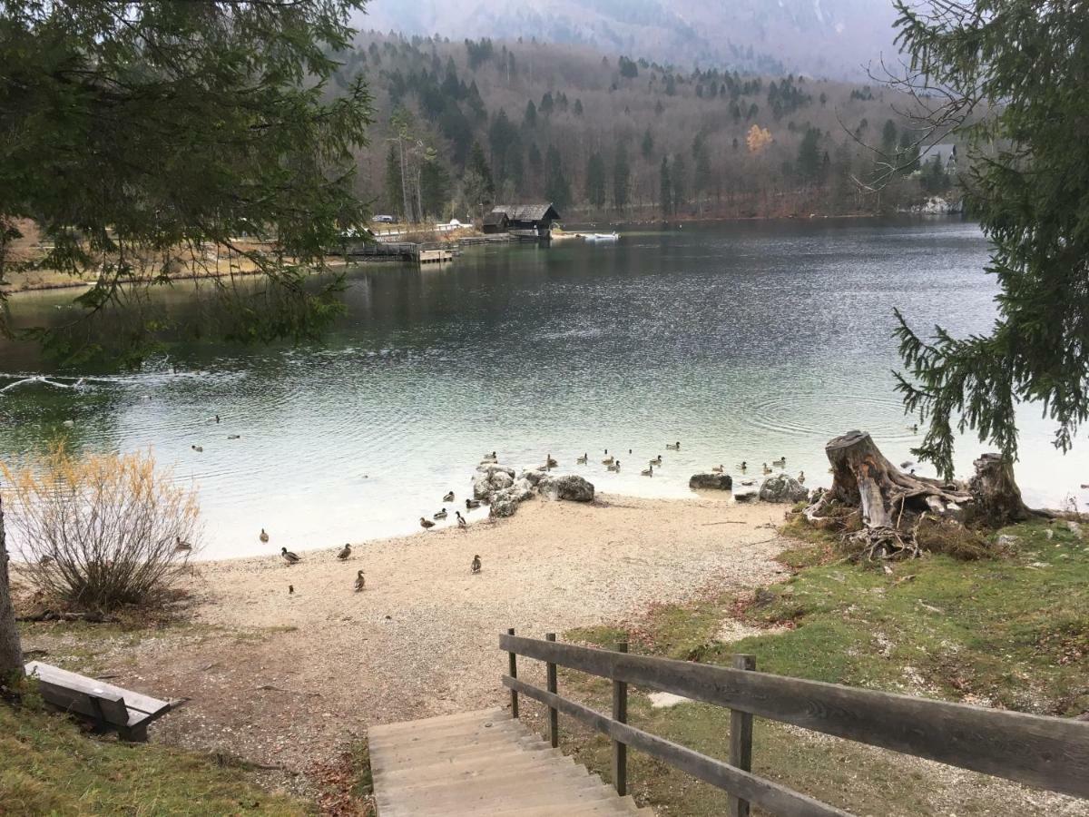 Casa Bohinj Apartment Екстериор снимка