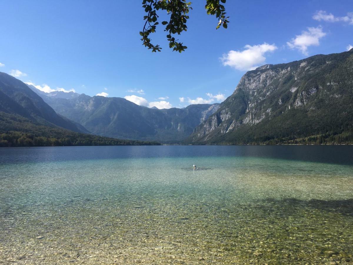 Casa Bohinj Apartment Екстериор снимка